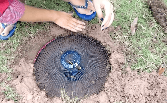 Video: A Smart Girl Built An Electric Fan Guard Snake Trap To Catch Huge Snakes