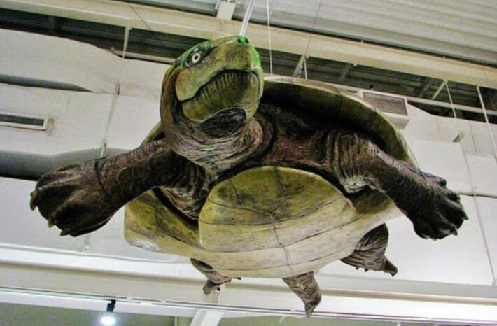 Did You Know These 10 Creatures Once Existed On The Earth!