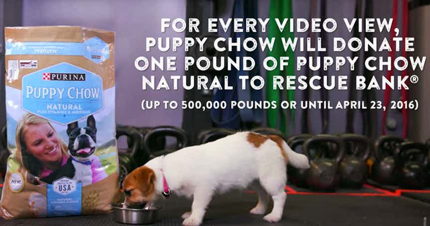 Each View Of This Video Will Donate A Pound Of Dog Food