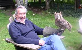 Get Ready To Laugh Your Heart Out... Owls As You Have Never Seen Before