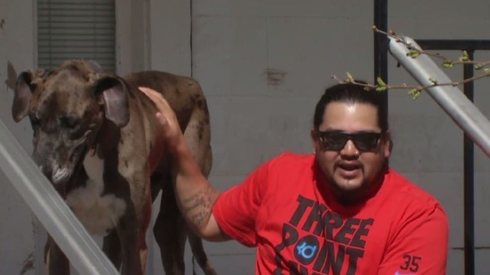 He Lost His Dog Years Ago And Now The Dog Waits Behind The Garage Door Waiting For Him. A Reunion Like No Other!