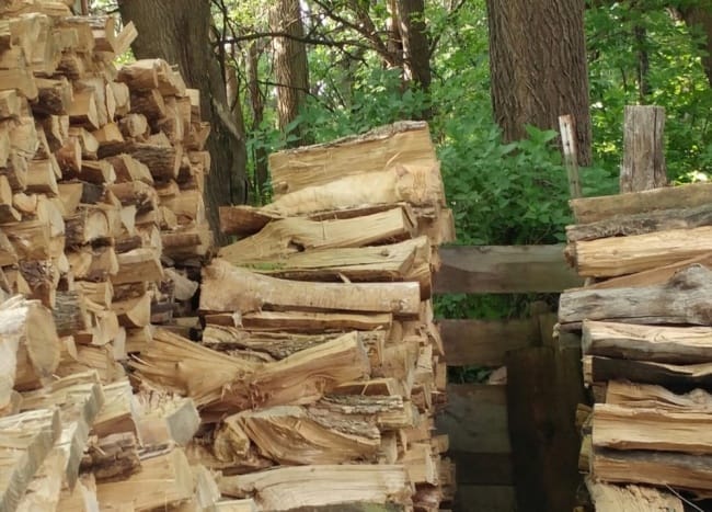 It's A Challenge You Will Not Be Able To Find Animals In These Pictures