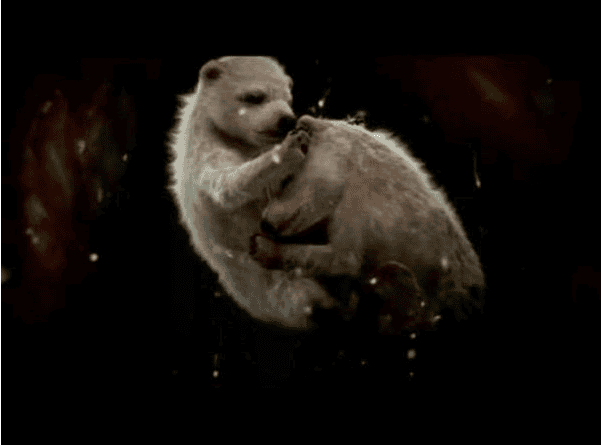 Mind Blowing Images Of Unborn Animals