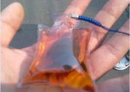 People Actually Put Live Animals In Keychains And Are Selling Them!