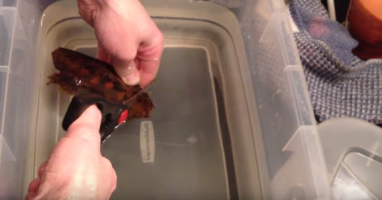 VIDEO: This Man Found A Shark Egg.. When He Tries To Open It..FASCINATING!