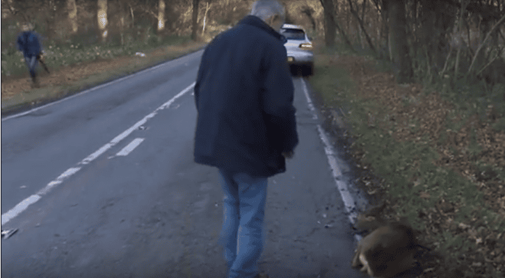 This Man Thought The Deer Was Really Giving Up On Life. But Then This Happened...