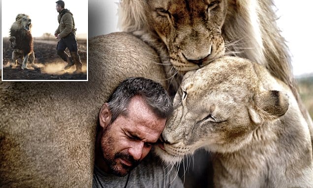 Watch Lioness' Reaction When Richardson Tries To Pick  Her New Born Cub
