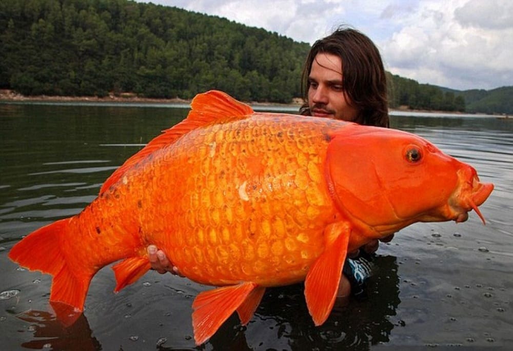 15 Photos That Prove Reality Is Better Than Photoshop
