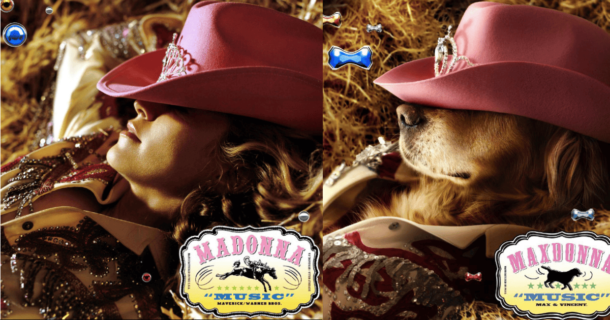 Recreating Some Of Madonna's Most Iconic Photos By A 6-Year Old Dog