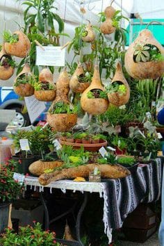 10 Amazing Bamboo Diy Ideas That Will Inspire You