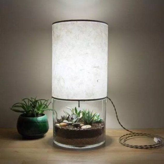 10 Mesmerising Terrarium Ideas For Your Indoor Projects
