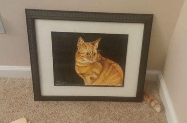 16 Extremely Interesting Pictures That Were Clicked Exactly At The Right Moment