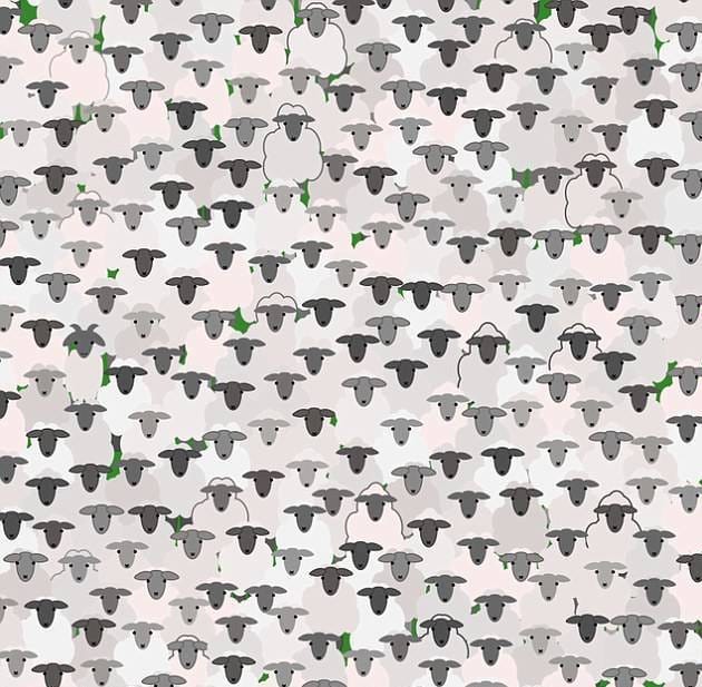 Only 29% Of People Can Find The Mistake In These Pictures In Under 30 Seconds. Can You Do It