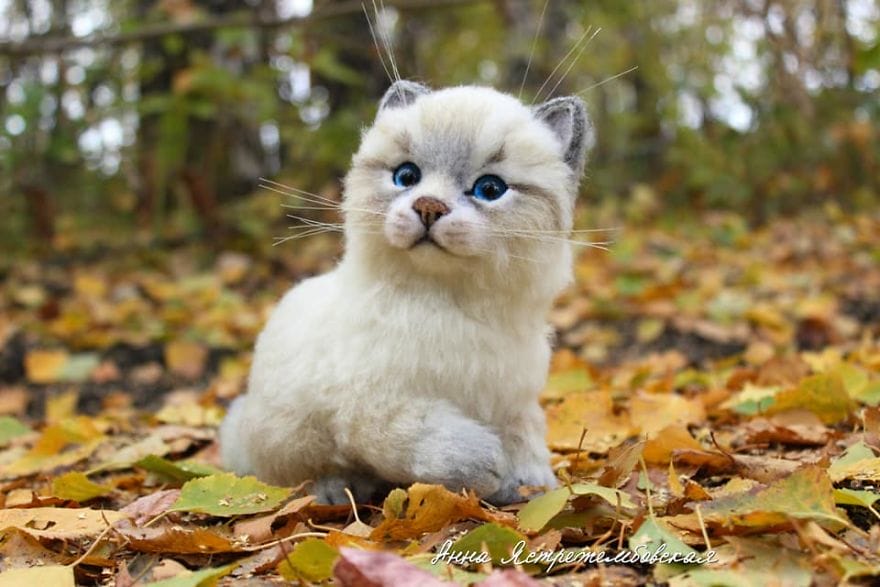 She Started Making Toys Out Of Wool 3 Years Ago And The Results Look Astonishingly Real
