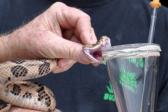The 11 Most Dangerous Jobs Around The World