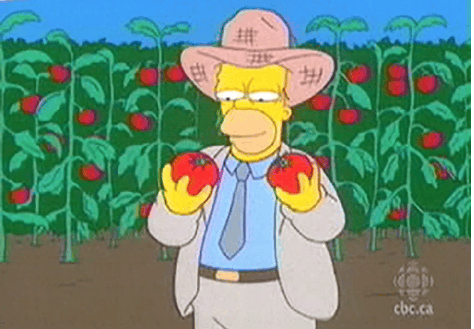 The Simpsons, The Show That Predicted Future