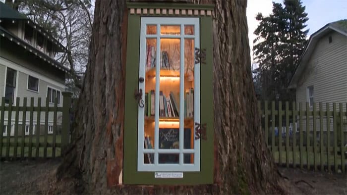 Woman Turns 110-Year-Old Tree Into A Mini Library For The Area And It Looks Marvelous!