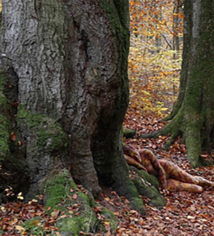 You Might Have A Genius IQ, If You Can Find The Woman Hidden In This Picture