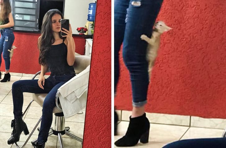 10 Amusing Photos That Will Make You Look Twice