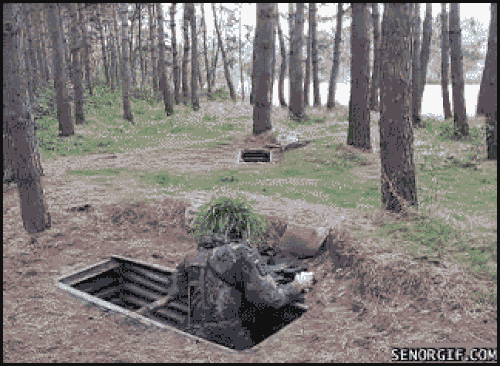10 Epic Fails That Might Give Us A Good Time