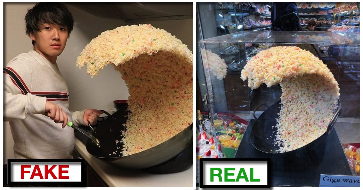 10 Fake Pictures That Made The Entire World Believe It Was Real