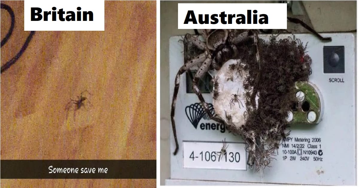 10 Funny Pictures That Shows The Difference Between Britain And Australia