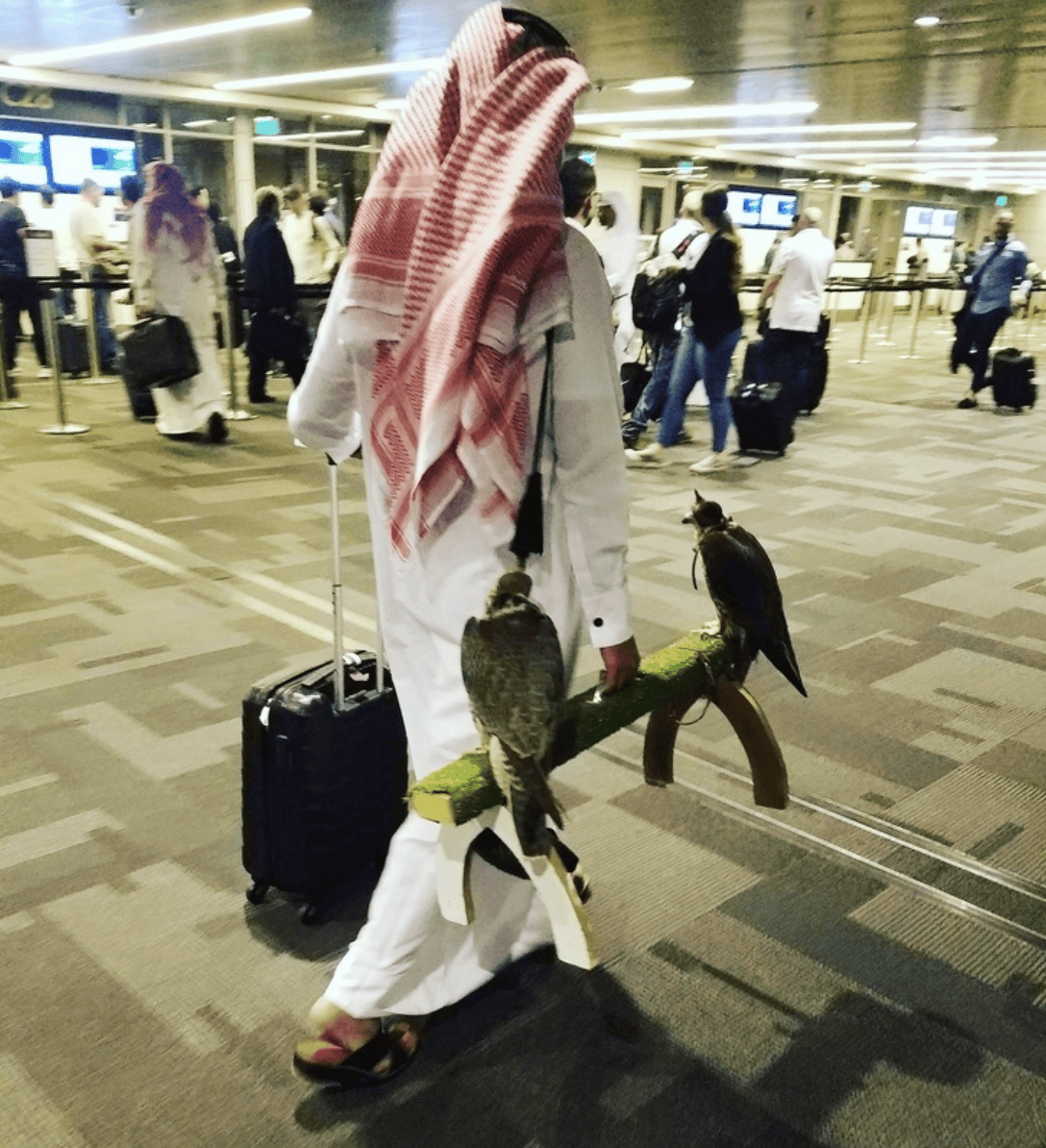 10 Funny Things We Can Only See At The Airport