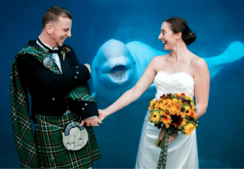 10 People Amusingly Won The Internet With Their Photobomb Pictures