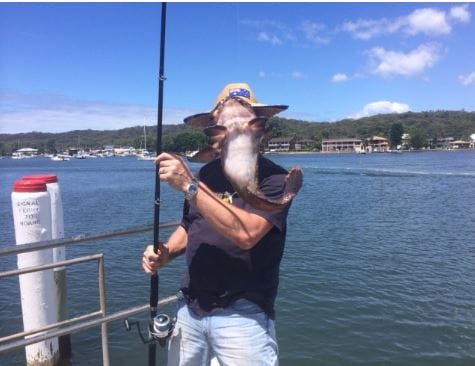 10 Perfectly Timed Pictures That Are Taken At A Right Time