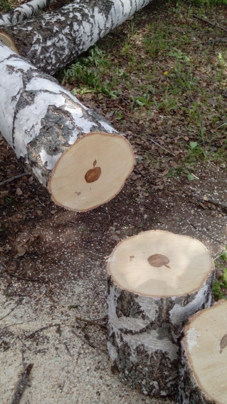 10 Pictures Prove That Nature Can Be Hilarious Sometimes