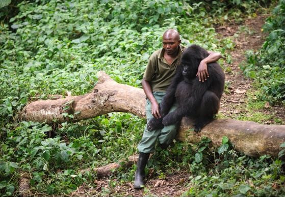 10 Pictures That Can Even Move Coldest Of Hearts