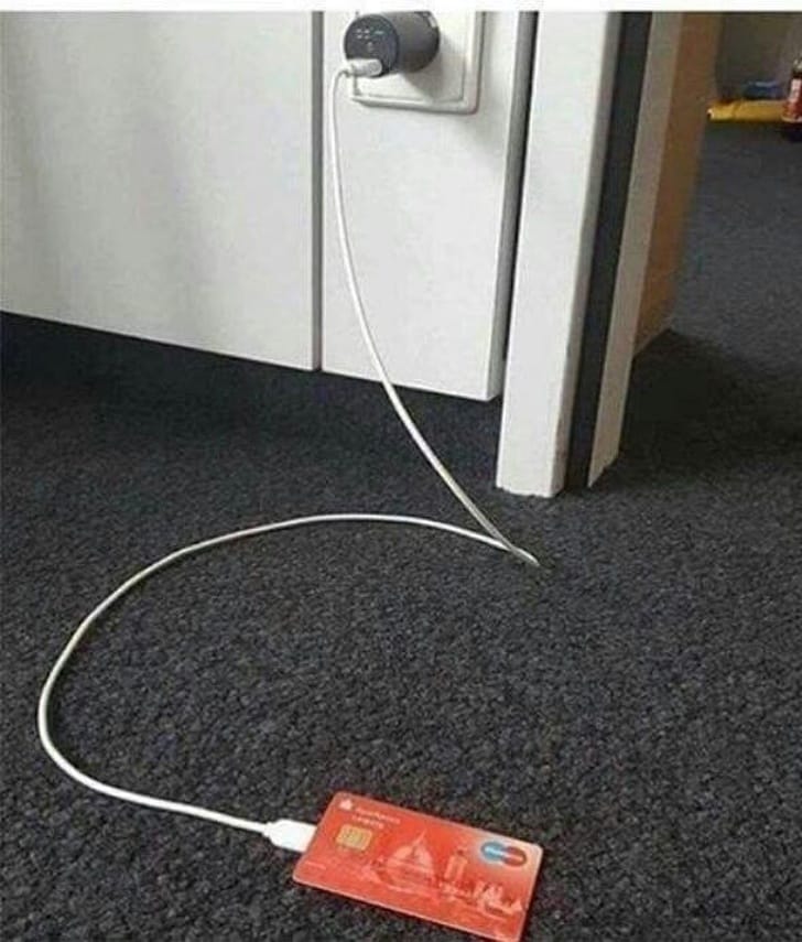 10 Pictures That Shows Silliness Won Over Intelligence