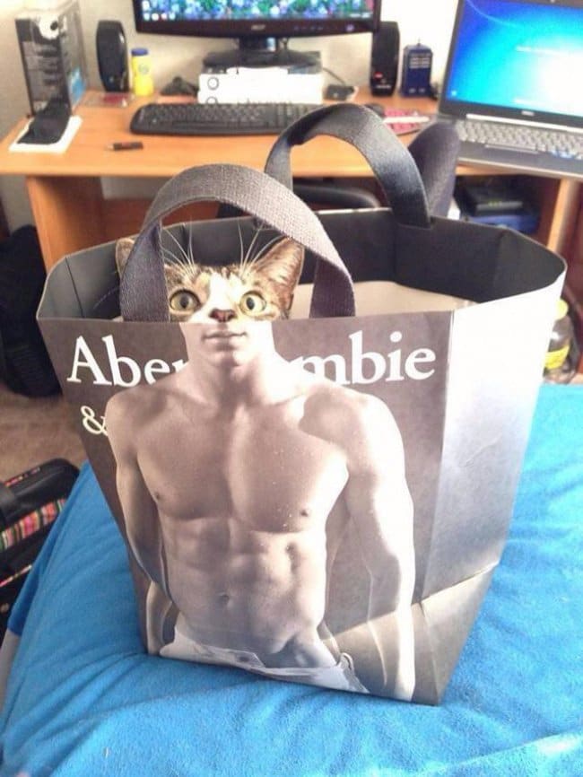 10 Pictures That Were Taken At The Right Time