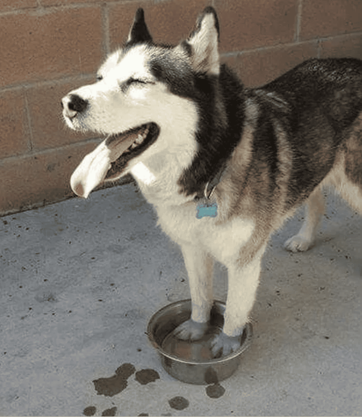 10 Pictures Which Proves That Summer Slays