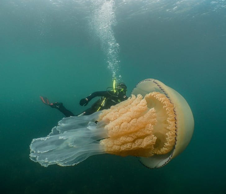 10 Pictures Which Will Give Us A Brain Freeze