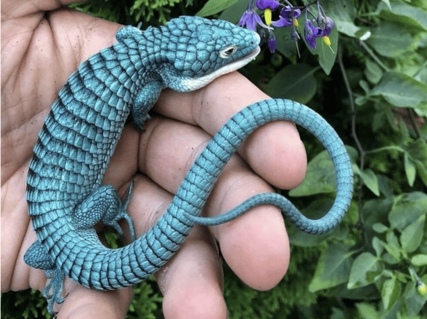 10 Real Pictures That Look Like It Belongs To An Alien World