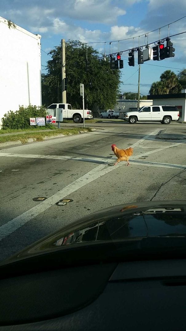 10 Strange Coincidences Which Are Tough To Believe