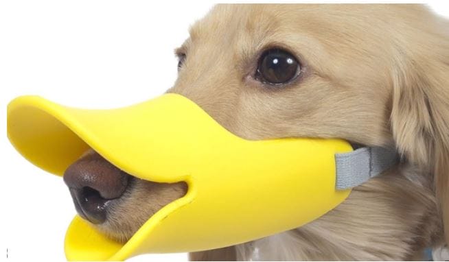 10 Strangest Inventions That Actually Exist