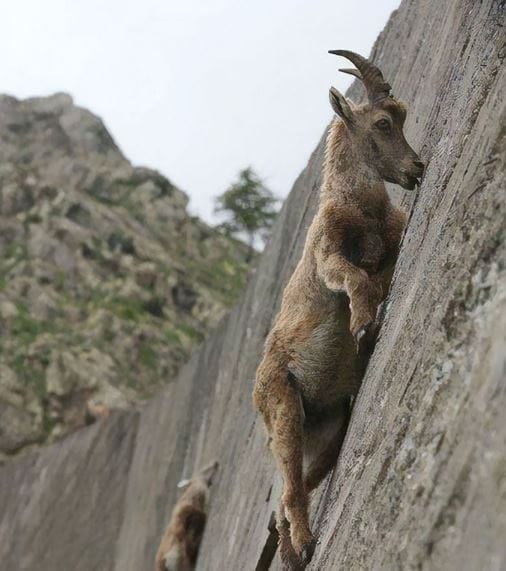 10 Times Gravity Defied Us And Made People look Twice To Understand