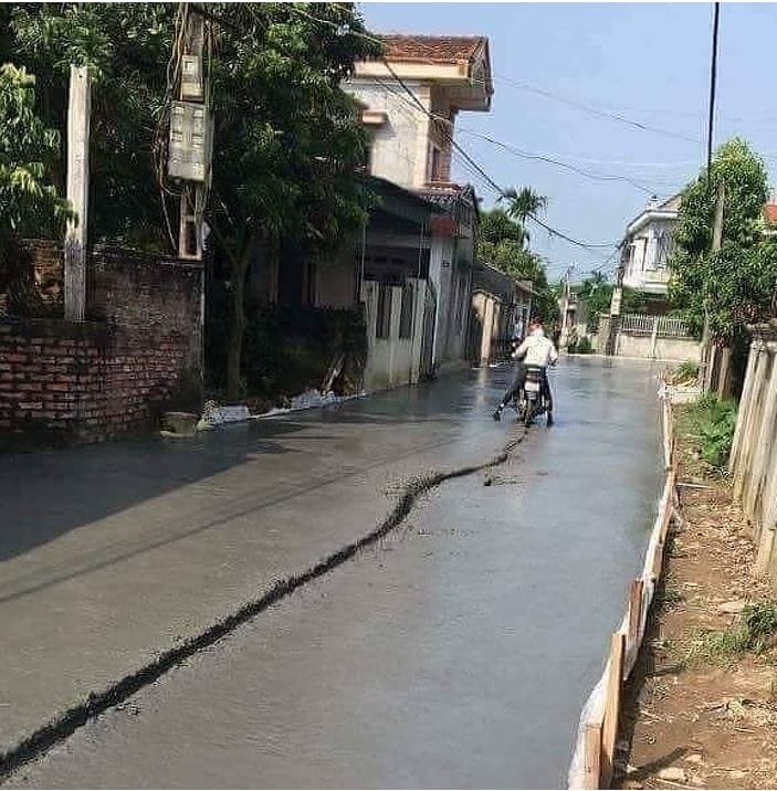 10 Times People Proved That They Have No Sense At All
