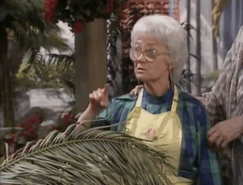 10 Times Sophia Petrillo Was The Best Mom Ever!
