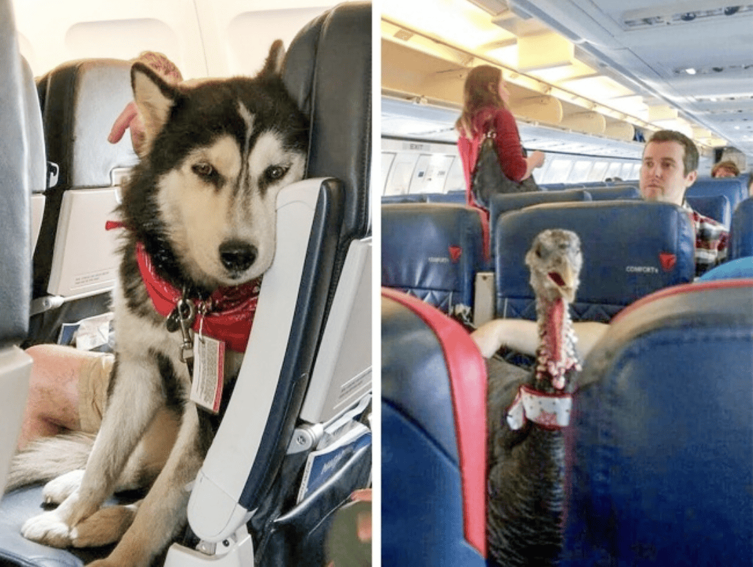 10 Tips That Can Be Very Helpful If You Are Travelling