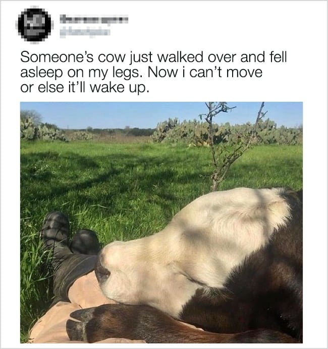 15 Photos Showcasing What Desperation Really Is