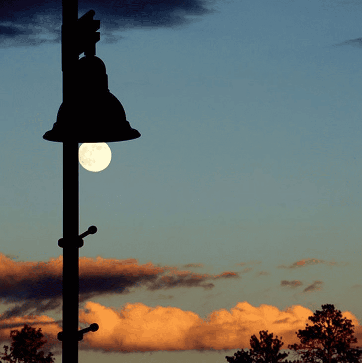 17 Surreal Pictures Taken Only With Pure Luck 