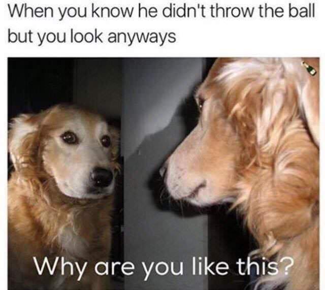 18 Incredible Photos And Memes To Give You A Chuckle And Possibly A Bit Of Fart