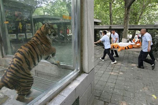 18 Of The Most Weirdest Unexplainable  Pictures Ever