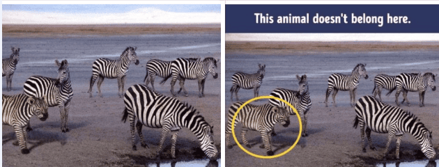 18 Pictures That Will Freak You Out Once You Look At Them
