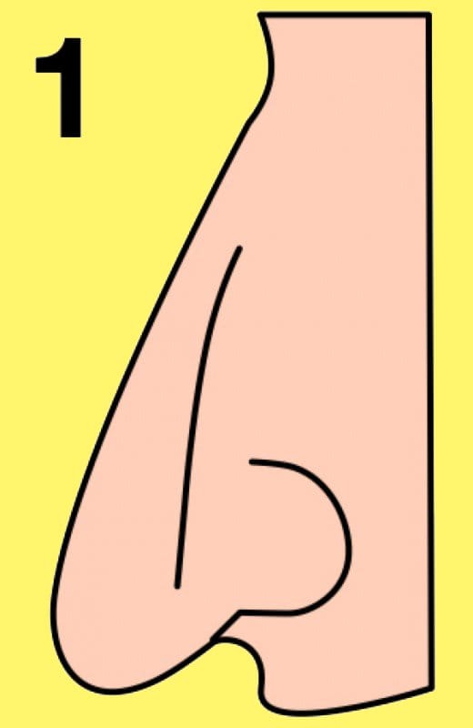 8 Facts Of Your Personality That Your Nose Shape Reveals