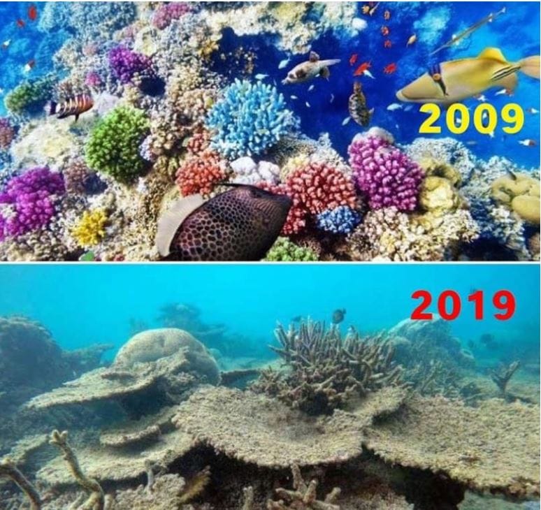 8 Pictures That Shows How Nature Has Changed For Past 10 Years