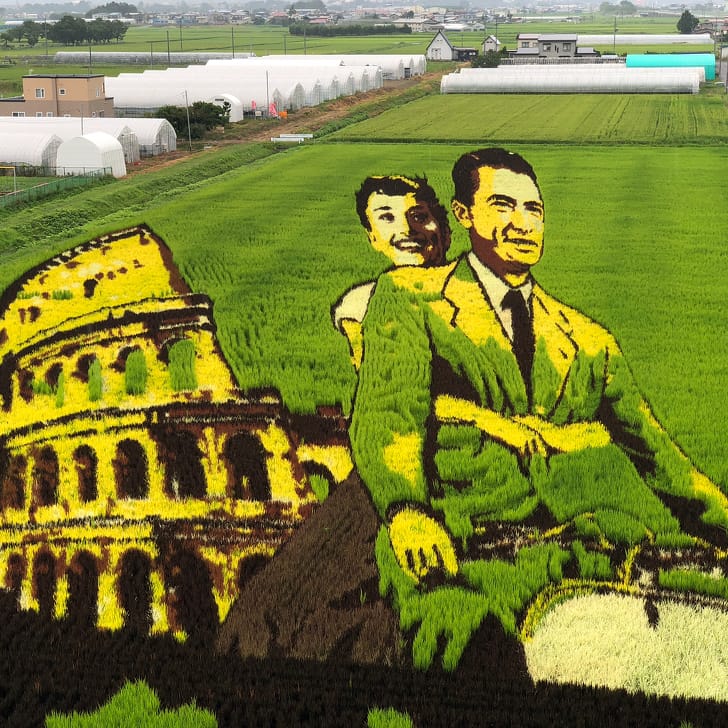 Japan Proves That They Live In 3018 With These 10 Amazing Pictures